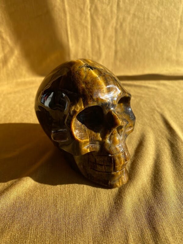 Tigers Eye Skull