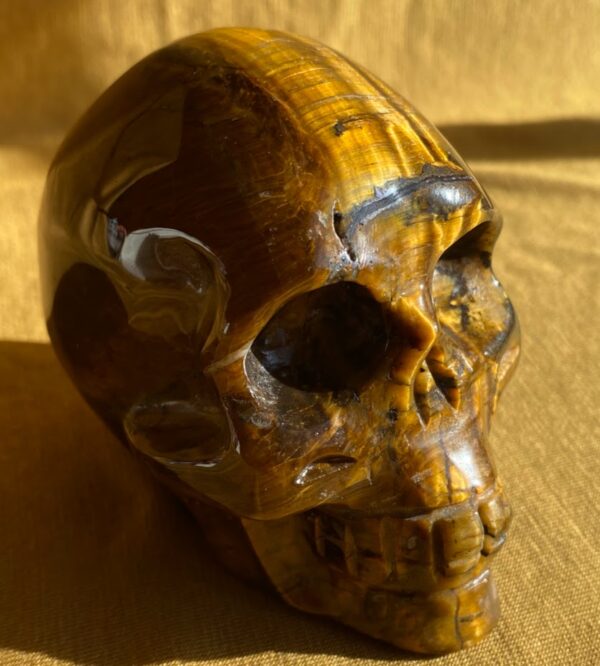 Tigers Eye Skull