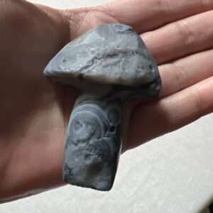 Gobi Eye Agate Mushrooms (Black)