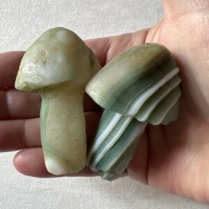 Gobi Eye Agate Mushrooms (Green)