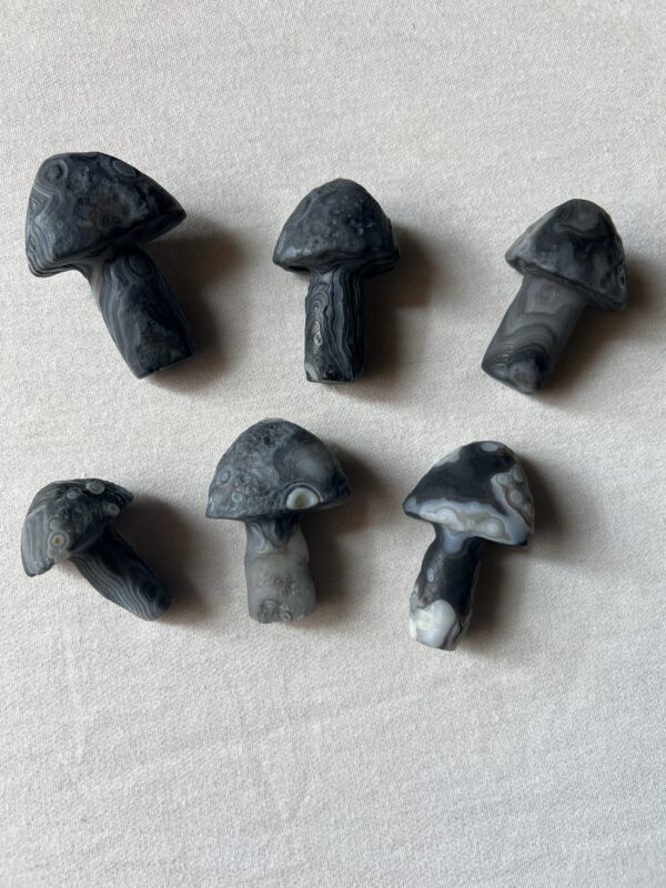 Gobi Eye Agate Mushrooms (Black) - Image 2