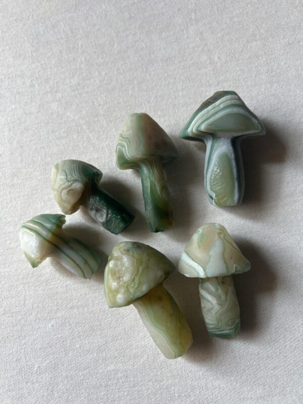 Gobi Eye Agate Mushrooms (Green) - Image 2