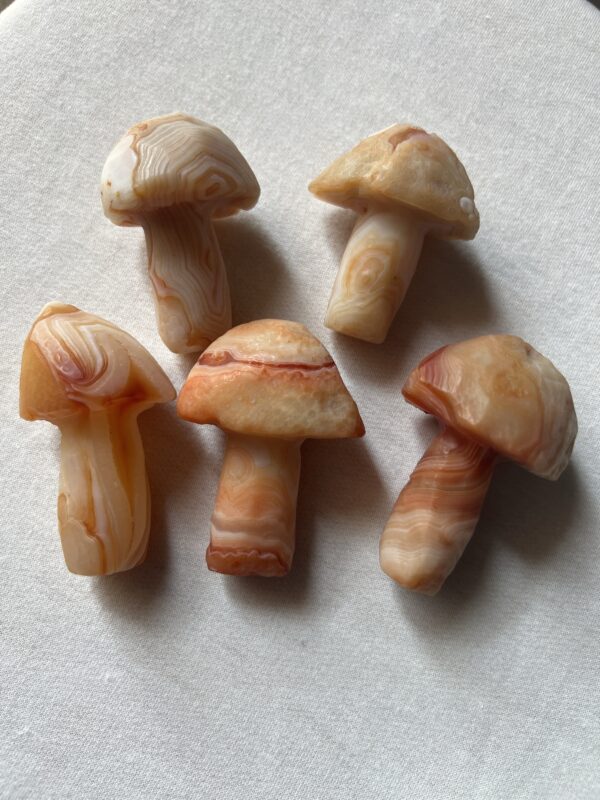 Gobi Eye Agate Mushrooms (Orange) - Image 2