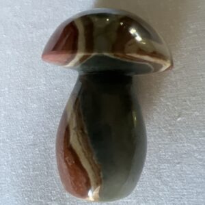 Petrified Wood Mushroom