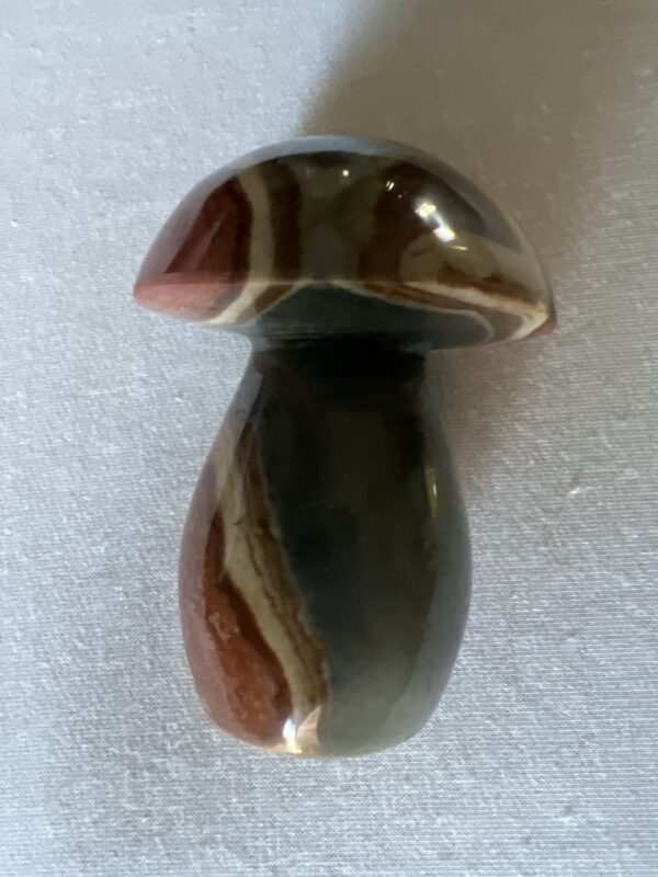 Petrified Wood Mushroom