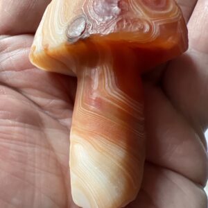 Gobi Eye Agate Mushrooms (Orange)