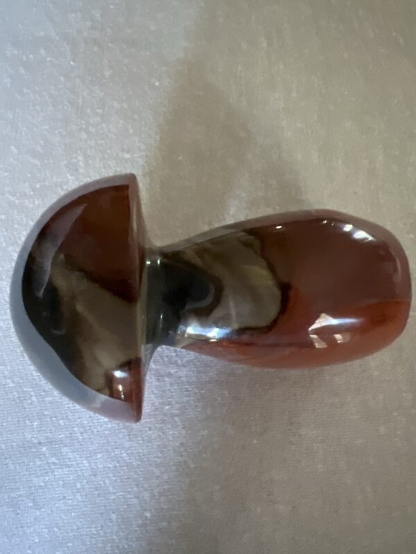 Petrified Wood Mushroom - Image 2