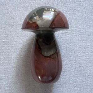 Petrified Wood Mushroom