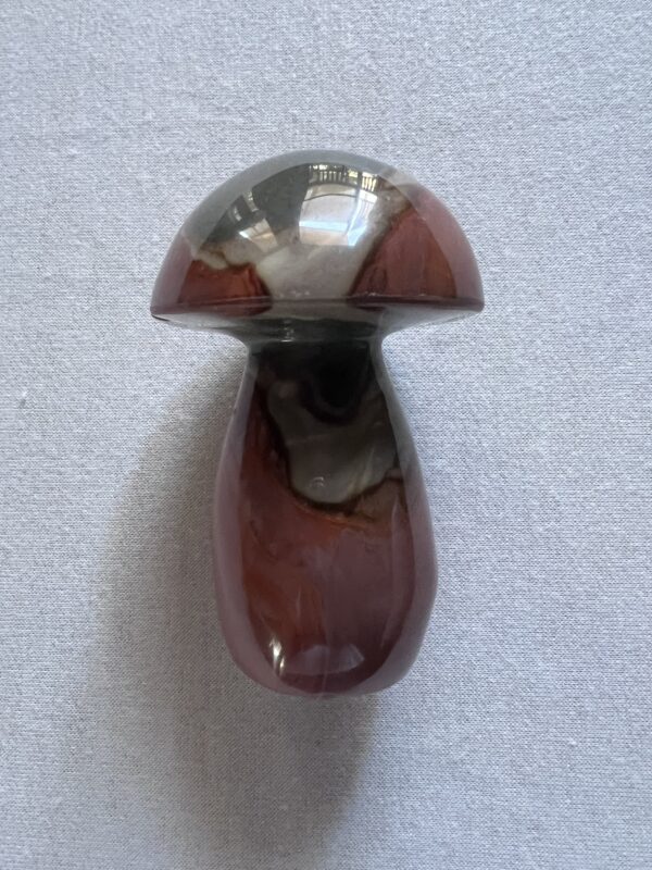 Petrified Wood Mushroom