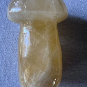 Golden Healer Mushroom
