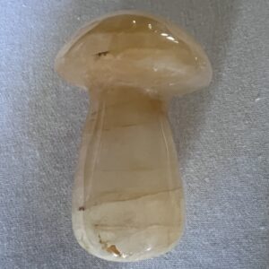 Golden Healer Mushroom