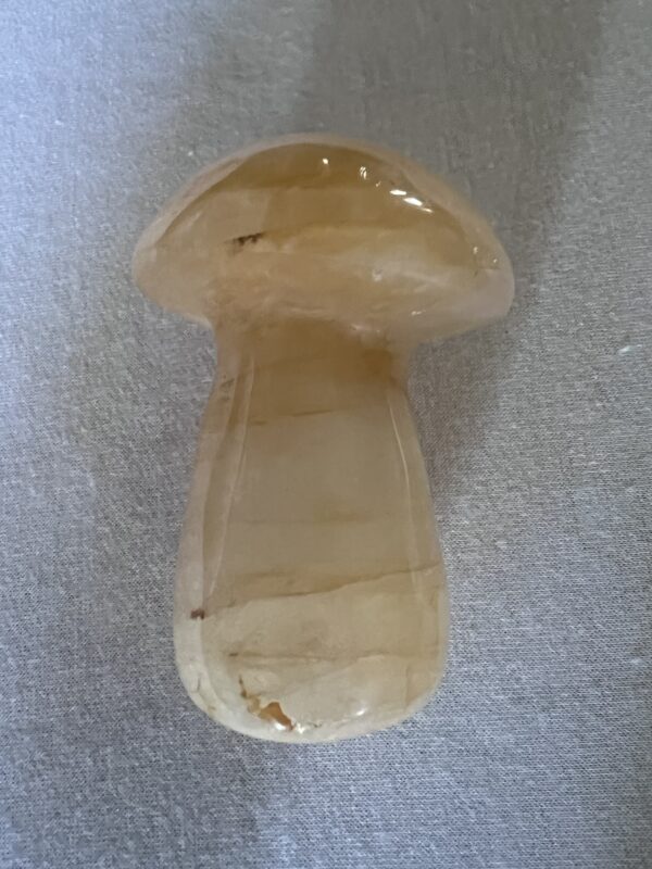 Golden Healer Mushroom