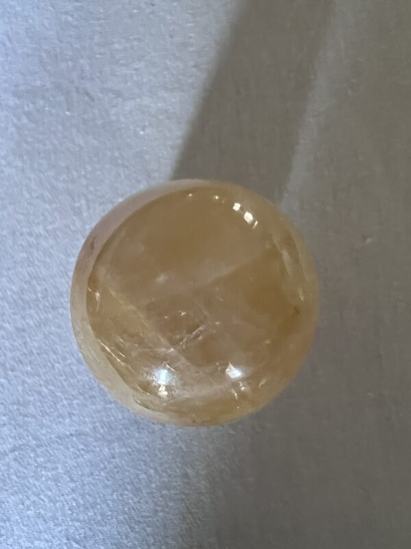 Golden Healer Mushroom - Image 2
