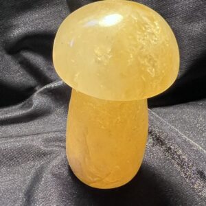 Golden Healer Mushroom