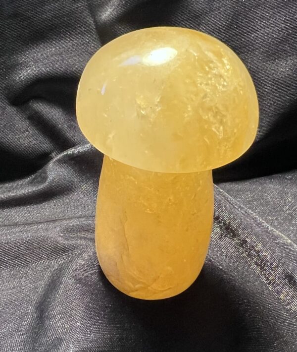 Golden Healer Mushroom