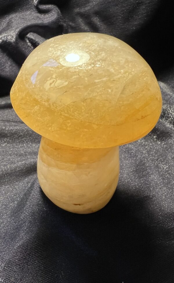 Golden Healer Mushroom - Image 2