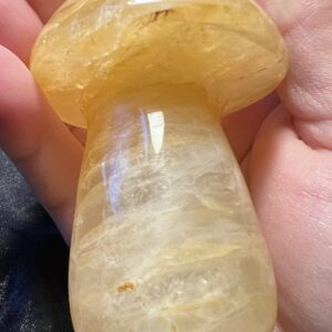 Golden Healer Mushroom