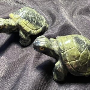Serpentine Turtle