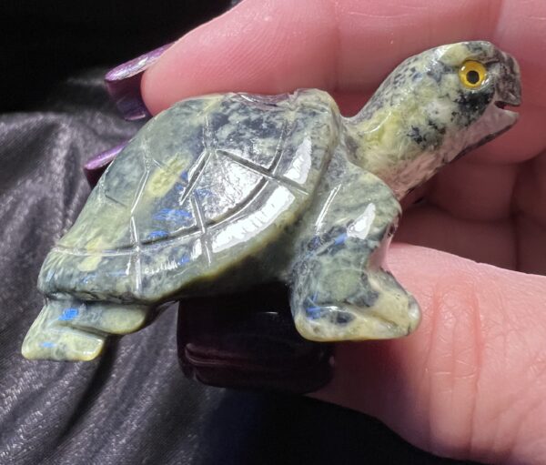 Serpentine Turtle - Image 2