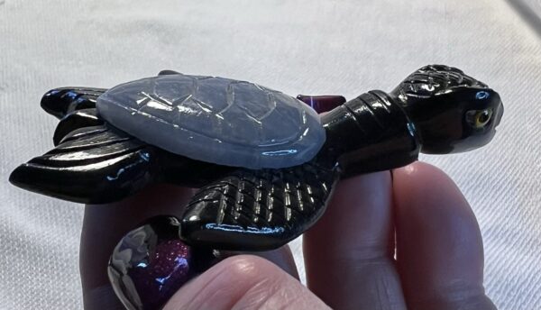 Onyx and Angelite Sea Turtles