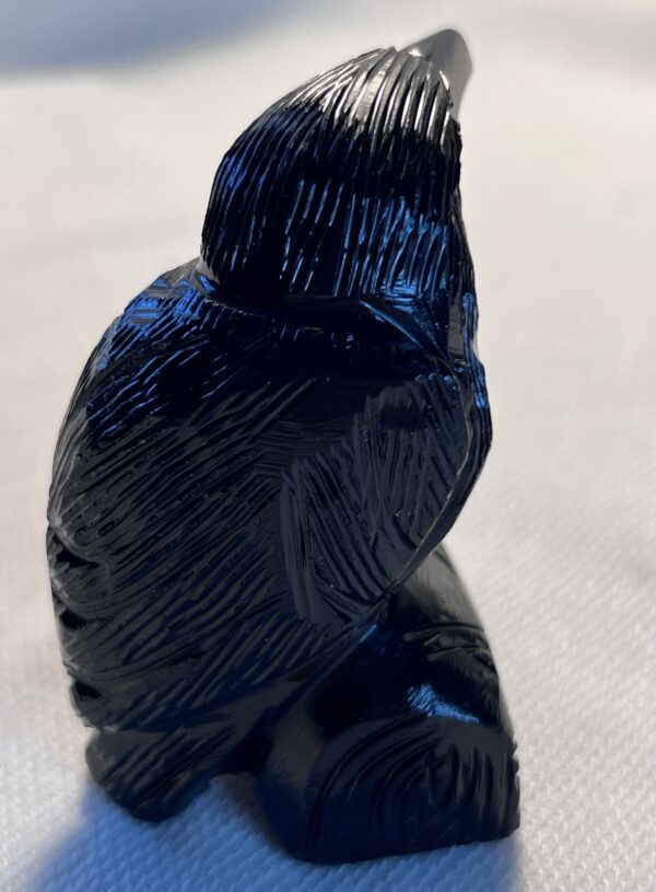 Black Onyx Crow ( medium) - Image 2