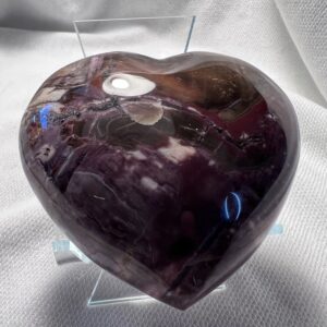 Petrified Wood Heart