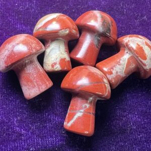 Petrified Wood Mini Mushroom