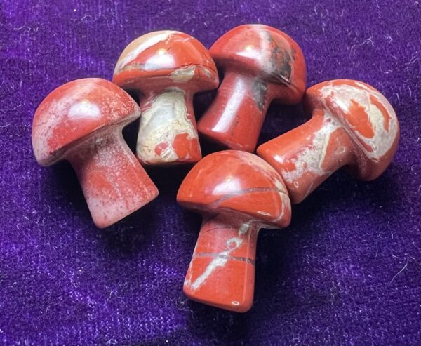 Petrified Wood Mini Mushroom